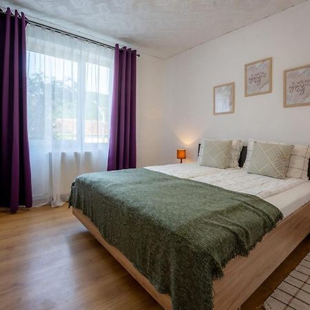 Nya Apartment Sighisoara Ngoại thất bức ảnh